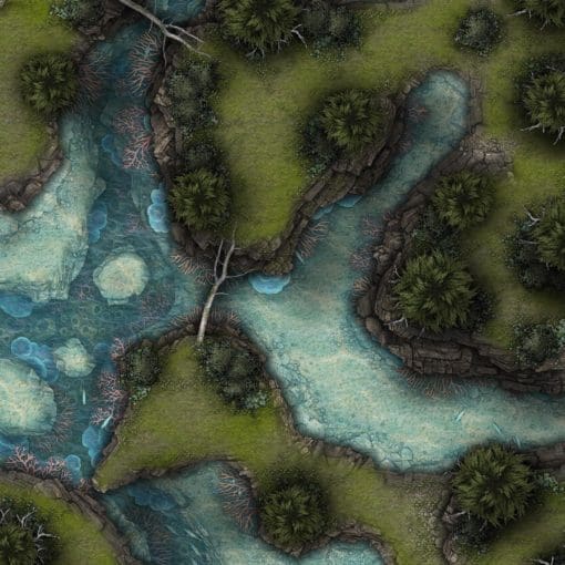 Orlian Coast Forest 40x30 Battlemap & Adventure